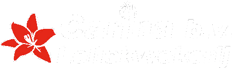 Carina B.V.